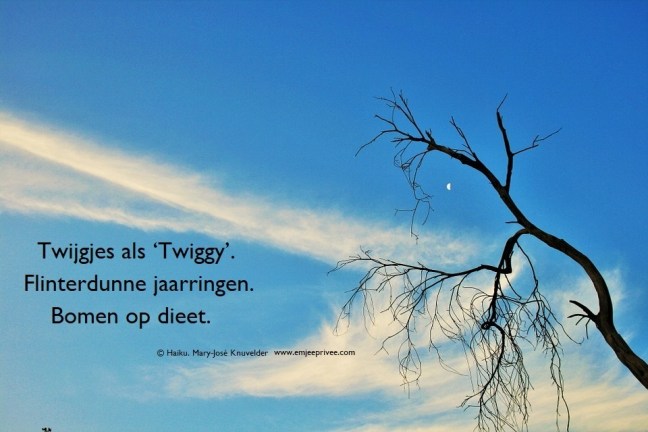 haiku bomen op dieet 26-7-18