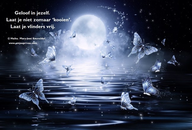 haiku geloof in jezelf 18-1-18