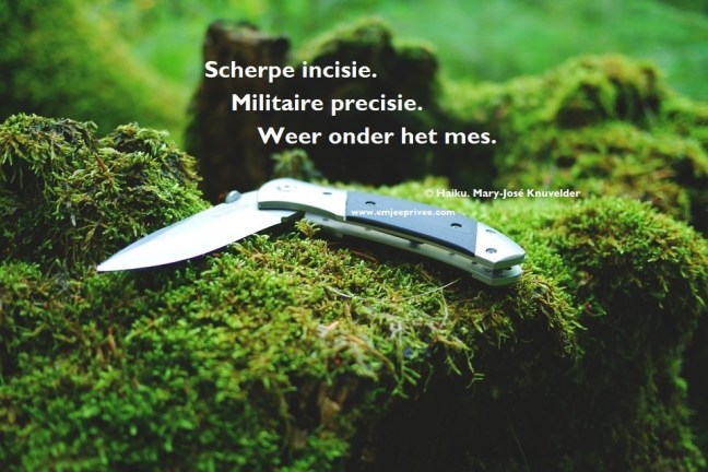 haiku scherpe incisie 18-5-18