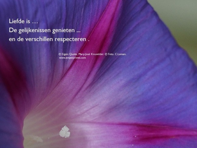 quote-liefde-is-gelijkenissen-31-12-18