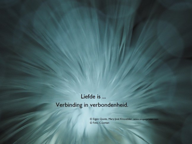 quote-liefde-is-verbinding31-12-18