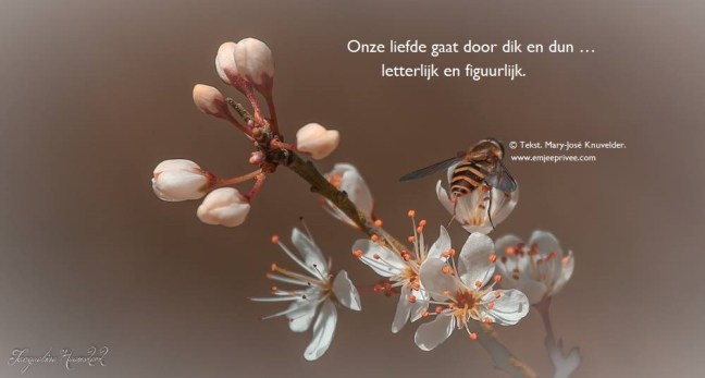 tekst door dik en dun 27-5-18