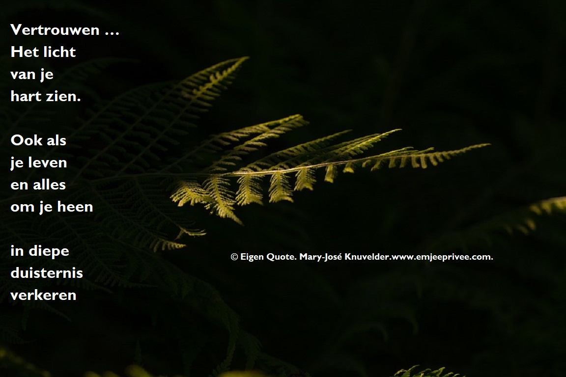 Quote. Vertrouwen … – EmJeePrivee, image size:1152x768