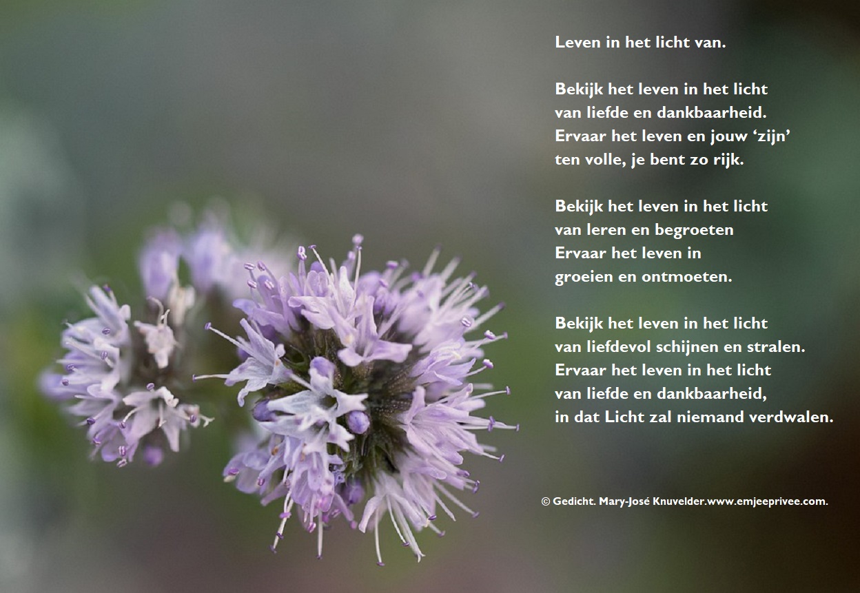 Gedicht. Leven in het licht van – EmJeePrivee