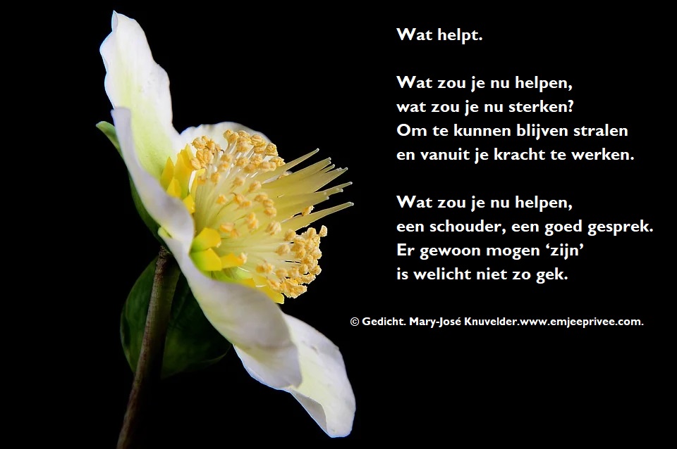 Gedicht. Wat helpt – EmJeePrivee