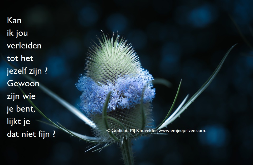 Gedicht. Kan ik jou verleiden – EmJeePrivee